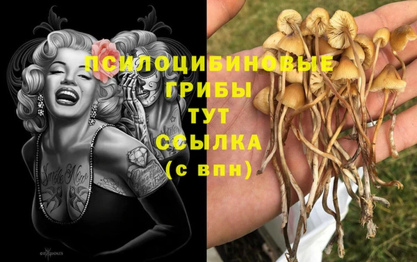 соль курить ск Балахна