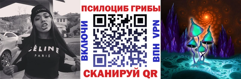 Псилоцибиновые грибы Psilocybe  Гай 