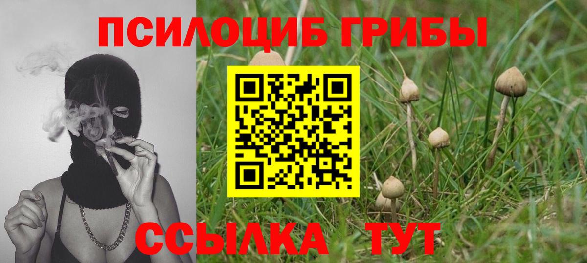 Гай  Псилоцибиновые грибы Magic Shrooms  Вход с VPN 